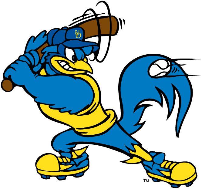 Delaware Blue Hens 1993-Pres Mascot Logo v8 iron on transfers for fabric